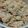 iomanma's cooksnap of when they made おからきんぴらごぼう.