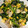 クッキングシニアZ3's cooksnap of when they made 【あっさり】豚バラ肉とほうれん草の卵炒め.