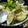 ゆみ‘ｓカフェ's cooksnap of when they made 春を感じる☆あさりの炊き込みご飯.