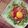 ♥bambi♥'s cooksnap of when they made 超簡単！ユッケ風かいわれキムチ.