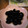 チャミイ's cooksnap of when they made 黒豆　初めて煮ても上手くできた♪.