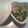 ＊kokoron＊'s cooksnap of when they made 豆苗のベーコン炒め.