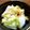 はしやすめ1号's cooksnap of when they made 袋で簡単＊白菜の浅漬け.