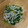 kirinda's cooksnap of when they made もやしとニラのオイスター炒め.