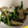 hiiton19's cooksnap of when they made お弁当にも♪牛蒡とほうれん草の☆煮たの♪.