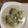 モカぷりん♪'s cooksnap of when they made ほっこり♡とろとろロール白菜♡.
