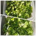 のんべぇヒロ's cooksnap of when they made 小ネギの保存方法～♪.