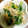 蒼くんのお母さん's cooksnap of when they made ほうれん草ともやしのナムル.