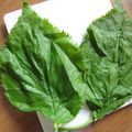 あかねやっこ's cooksnap of when they made 桜餅の葉っぱ.