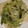 akohojo's cooksnap of when they made 白菜と長ネギの和風サラダ.