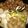 ぺろぺろり's cooksnap of when they made 鶏肉のすき焼き.