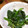 ユーロン's cooksnap of when they made ほうれん草の胡麻ハニ和え♡.