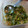 ♥ sora ♥'s cooksnap of when they made さっぱり☆ねぎ塩だれ.