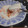 まっちゃロール's cooksnap of when they made 酒粕で旨みたっぷり♫塩鮭の酒粕煮！.