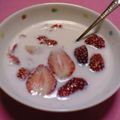 りんりん２００６'s cooksnap of when they made 簡単✿いちご みるく✿.