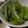 じゅんともた's cooksnap of when they made 絶品☆スナップエンドウの茹で方.