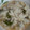 たぬとん's cooksnap of when they made 白菜と人参の煮浸し.