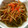 ゆたっち's cooksnap of when they made ぴりっと辛口☆ごぼうのきんぴら.