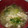 つぼやきシロウ's cooksnap of when they made ☆葉もの野菜と卵の中華スープ☆.
