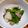 asks's cooksnap of when they made カブと小松菜の炒め物.