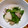 asks's cooksnap of when they made カブと小松菜の炒め物.