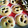 定春３２号's cooksnap of when they made ★母の直伝のマドレーヌ★.