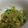 みぃちや４７'s cooksnap of when they made アボカドのさっぱりサラダ.