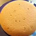 wmamikow's cooksnap of when they made ホットケーキミックスで炊飯器ケーキ.