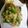 アンディーナ's cooksnap of when they made 豚とオクラの味噌炒め.