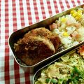 てらよう's cooksnap of when they made ＊ヘルシー万歳✿おからハンバーグ＊.