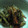 ユーロン's cooksnap of when they made 千切り大根とにんじんの「キンピラ風炒り煮」.