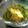 ヒデミ☆'s cooksnap of when they made 厚揚げと豆苗のオイスター炒め.