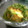 ヒデミ☆'s cooksnap of when they made 厚揚げと豆苗のオイスター炒め.