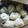 ママフィオ's cooksnap of when they made 小龍包.