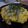 xiongda's cooksnap of when they made プロの味！和風オムライス♪.
