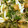07moe's cooksnap of when they made わかめとしめじの　みぞれ和え.