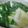 めかにか's cooksnap of when they made おうちで作るお野菜たっぷりモツ鍋.