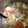きのこ仙人's cooksnap of when they made 簡単 肉じゃが.