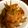 サトモユリア's cooksnap of when they made まろやか☆きんぴらごぼう.