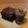 スペイツ＆じんべ's cooksnap of when they made ラム好きのチョコムース.