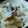 夜ふかしはまこ's cooksnap of when they made 簡単！美味！さつまいもごはん.