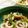 NAGANO久留米's cooksnap of when they made 納豆ちくわ.