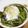 ぐまちん's cooksnap of when they made 菜の花のココット.