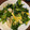 クックE670R0☆'s cooksnap of when they made プリプリ牡蠣のほうれん草玉子炒め.