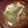 dfycc's cooksnap of when they made トマトのコンソメスープ.