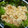 ＠デリシャス's cooksnap of when they made 我が家の簡単♪エビマヨ♪.