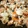 an0v0ko's cooksnap of when they made 林檎のかんたん焼き菓子.