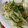 8itao8's cooksnap of when they made もやしのなめたけ和え.