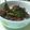 すこやかオイラ's cooksnap of when they made 鶏の照り焼き丼.