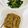 かなぽん☆☆'s cooksnap of when they made レンジでなめ茸【作り置き・半調理】.